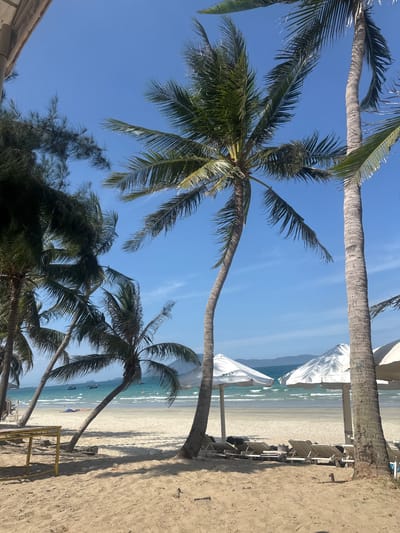 The image depicts a serene beach scene in Dong Ninh Hoa, Vietnam, under a clear blue sky. Several palm trees dominate the foreground, their fronds casting dappled shadows on the sandy beach. In the mid-ground, rows of white lounge chairs are arranged, some unoccupied, others with items on them, suggesting recent use. Two large white umbrellas provide shade for the chairs. Beyond the beach, the turquoise waters of the ocean stretch towards a distant coastline, where mountains are faintly visible. A few small boats are scattered across the water. The overall atmosphere is one of a tranquil tropical getaway.