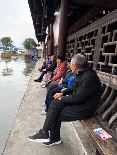 Six elderly individuals are seated on a long, dark wooden bench under a covered walkway of a traditional Chinese-style building in Pengshui Miao and Tujia Autonomous County, China. The building features large wooden columns, carved beams, and decorative latticework panels on the wall, along with a large, partially visible red and black poster. The ground in front of the bench is a wet, paved surface with visible puddles, indicating recent rainfall.
The individuals are positioned in a row, facing away from the building towards the wet plaza. The closest person, a man with grey hair, is seen from the back and side, wearing a black jacket and black pants with black and white sneakers. To his left, a woman in a dark blue coat and pants wears light blue sneakers. Next to her, a woman in a pink puffy jacket and a colorful scarf has a white earbud in her right ear and appears to be speaking or listening. Further down the bench, a bald man in a black jacket is seated, followed by a man in a purple jacket, and another partially obscured individual.
On the bench to the right of the foremost man, a small, colorful leaflet with cartoon-like figures is resting. A blue bag is visible next to the second woman, and the woman in the pink jacket holds a folded pink and white item, possibly an umbrella. In the background, beyond the wet paving, are two small green trees, a red lantern hanging from the building structure, a white vending cart, and multiple buses (white, blue, green) in a paved area. Distant mountains are visible under an overcast sky.