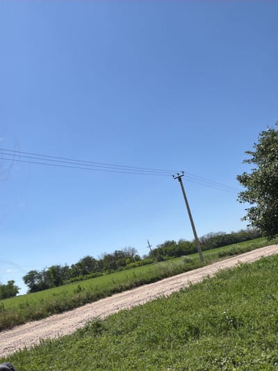 The image depicts a rural landscape with a clear blue sky. A dirt road runs diagonally across the frame, bordered by lush green fields and trees on either side. A utility pole with power lines is visible in the middle ground, leaning slightly. The overall scene suggests a sunny day in a countryside location, possibly Ust'-Dzhigutinka, Russia, given the context provided, characterized by open fields, vegetation, and basic infrastructure. No people are present in the image.