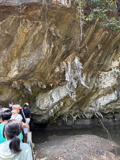 A sideways view of a rock formation exhibits layers of gray, brown, and white stone. Branch-like formations protrude. A group of people stands at the edge of what appears to be a ledge or embankment. Some peer downward, suggesting a deep hole or cavern. Vegetation is visible at the top left corner. A white string-like object stretches across the rock's surface.