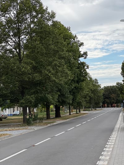 The image shows a street in Žatčany, Czechia, lined with large trees on the left. The asphalt road has a white broken line marking the center and a solid white line near the right curb. The right side of the road features a pedestrian walkway made of light-colored pavers. In the distance, a truck is partially visible on the right side of the road. On the left side, there is a grassy area with several parked cars, including a silver sedan and a white sedan. Buildings with light-colored facades are visible behind the trees. The sky is cloudy with patches of blue. A lamppost is visible in the upper right corner.