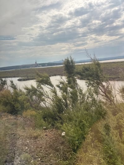 This media file depicts a scenic landscape view, likely taken outdoors in Port-la-Nouvelle, France. The scene is dominated by a body of water, possibly a lagoon or marshland, bordered by dense vegetation. On the left side of the frame, a vast expanse of sky is filled with dramatic, streaky clouds, suggesting a dynamic weather pattern, perhaps indicative of overcast or partly cloudy conditions. The light suggests it is daytime, though not necessarily bright sun.
In the background, across the water and vegetation, a distinctive structure resembling a modern building with a domed roof is visible. This structure appears to be a significant landmark in the area. The foreground is characterized by an abundance of green, leafy trees and shrubs, with some drier, browner vegetation mixed in, creating a textured and layered natural environment. The trees in the foreground have slender branches that extend into the frame, some of which are bare.
The perspective is from a slightly elevated position, looking out over the water towards the distant structure and the horizon. The overall mood is serene and natural, with the interplay of sky, water, and vegetation creating a tranquil atmosphere. There is no discernible activity or event taking place; it is a still landscape observation. No text is visible in the image.