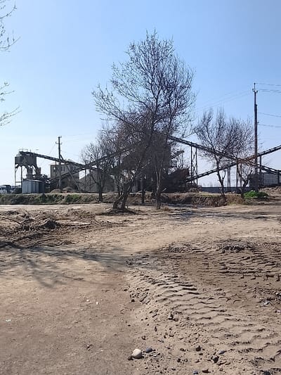 The image captures an industrial area in Yangi Chinoz, Uzbekistan, under a clear, bright blue sky. The foreground consists of an unpaved, sandy-dirt terrain exhibiting distinct heavy vehicle tire tracks and scattered pebbles, with tree shadows cast upon it. In the midground, several deciduous trees with bare branches are visible, interspersed with mounds of earth and a patch of green vegetation on the right. The background features an industrial complex, consistent with a sand and gravel processing plant or a concrete batching facility. This complex includes multiple elevated metal conveyor belt systems supported by scaffolding, storage silos or hoppers, and a light-colored multi-story building. Utility poles carrying power lines traverse the scene, with a tall, slender structure visible on the far right. A white truck is partially discernible on the far left of the plant. No individuals are present in the scene.