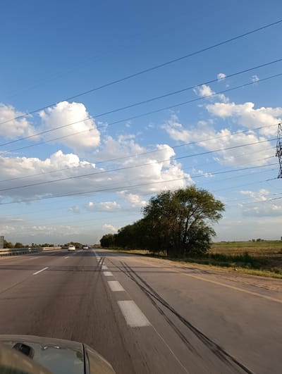The image captures a view from a vehicle moving along a highway, likely near the city of Rassvet, Kazakhstan, given the context provided. The sky is a vibrant blue, with scattered white cumulus clouds. Several power lines are strung across the upper portion of the frame, intersecting the sky. On the right side of the highway, a tall transmission tower is visible. A large, dense tree with dark green foliage stands prominently on the right shoulder of the road, partially obscuring the view of a vast, open field beyond it. The highway itself is paved, with white dashed lines marking the lanes. Tire marks are visible on the road surface, suggesting recent vehicle activity. Several vehicles, including white sedans, are traveling in the same direction ahead on the highway. In the distance, a range of mountains with snow-capped peaks can be seen under a hazy sky. The overall impression is one of a daytime journey through a rural or semi-rural landscape.
