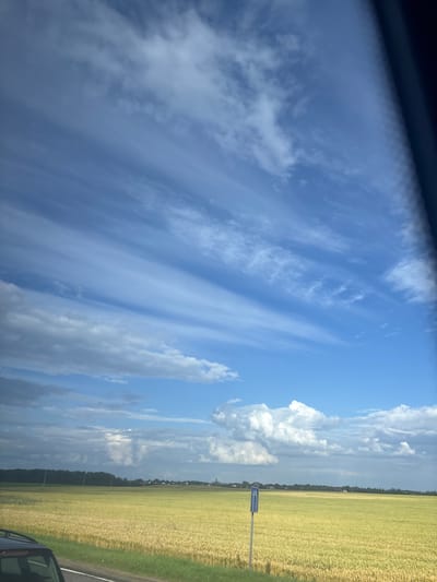 The image depicts a rural landscape under a vast blue sky filled with wispy white clouds. In the foreground, a portion of a dark-colored vehicle is visible on the left, suggesting the photo was taken from a moving car. A road runs along the bottom edge of the frame, bordering a field of golden crops, likely wheat or barley, that stretches towards the horizon. A solitary blue and white road sign, indicating a directional arrow, stands in the middle of the field. In the distance, a line of trees forms a dark green band against the horizon, with scattered houses and buildings peeking through, indicating a small settlement. The overall scene conveys a sense of open space and agricultural activity in a peaceful, rural setting within the Дзешчанскі сельскі Савет, Belarus.