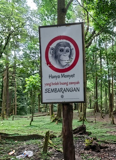 A sign is nailed to a wooden post in a forest clearing in Dolat Rayat, Indonesia. The sign, which is white with a dark border, features a red circle with a drawing of a monkey inside. Below the monkey, text in Indonesian reads: "Hanya Monyet yang boleh buang sampah SEMBARANGAN." This translates to "Only monkeys are allowed to litter indiscriminately." In the background, trees and foliage create a dense forest environment. Scattered on the ground in the foreground are several pieces of litter, including plastic bottles and bags, contrasting with the sign's message. The overall scene depicts a humorous or ironic warning in a natural setting.