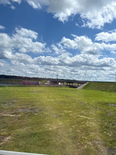 This is a wide-angle, eye-level, outdoor, daytime photograph taken in Myasnoi Bor, Russia. The image captures a scenic view of a highway overpass and a large, grassy field with some puddles. The sky is a vibrant blue, dotted with fluffy white clouds.

In the mid-ground, a multi-lane highway overpass dominates the scene. A truck with the "WILDBERRIES" logo prominently displayed on its side is traveling on the highway. A dark-colored car is also visible on the highway. Various streetlights and utility poles line the highway. In the background, a dense line of trees forms the horizon, with a tall electrical pylon standing out against the sky.

The foreground consists of a large, uneven grassy field. The grass is a mixture of green and some drier, straw-like blades. Scattered across the field are numerous puddles of water, indicating recent rainfall or poor drainage. A small, orange marker is visible in the field. The overall impression is one of a vast, open landscape with infrastructure integrated into it.