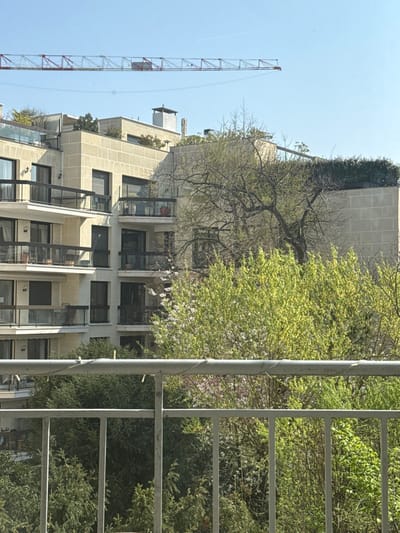 The scene depicts an urban landscape in Neuilly-sur-Seine, France, observed from an elevated vantage point, likely a balcony. In the immediate foreground, a grey metal balcony railing with vertical balusters and a horizontal top bar is present; several small, white, cylindrical clips or lights are wrapped around the top bar.

Below the railing and extending into the midground, a dense canopy of trees and shrubs is visible. This vegetation comprises bright green deciduous trees with nascent spring foliage, interspersed with white and pink blossoms, indicating the season. Darker evergreen trees are visible in the lower-mid section. A large, bare-branched deciduous tree with intricate branching patterns stands prominently in the midground, slightly right of center, partially obscuring a building behind it.

The background is occupied by a multi-story residential building constructed from light-colored, rectangular stone or concrete blocks. The building features multiple balconies with dark-framed structures and transparent glass balustrades. Several balconies contain potted plants. Dark, rectangular windows are visible across the facade. The building's roofline includes various chimney stacks and areas with organized rooftop greenery.

Above the building, a clear, pale blue sky fills the upper portion of the frame. A red and white construction crane boom extends horizontally across the upper-left quadrant of the sky. A faint white contrail from an aircraft is visible in the upper-right sky. No human figures or discernible actions are depicted.