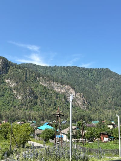 The image shows a rural village nestled at the base of a densely forested mountain under a clear blue sky with a few wispy clouds. The mountain slopes are covered in a variety of trees, with some rocky outcrops visible. In the foreground, there is a dirt road winding through the village, bordered by wooden fences and lush green vegetation, including flowering plants with purple blossoms. Several houses with various roof colors, including a prominent bright blue roof, are scattered among trees. There are also utility poles and wires present, suggesting the presence of electricity and communication infrastructure. The scene depicts a tranquil, sunlit day in a mountainous region.