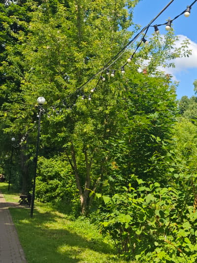 The image depicts a paved walkway curving to the left, bordered by a grassy area and dense green foliage. A tall black lamppost with a white globe light stands on the right side of the walkway, accompanied by a decorative bench further down. Overhead, a string of decorative lights with white bulbs is suspended between trees. The background consists of lush trees and a bright blue sky with scattered white clouds. The scene appears to be a park or a public outdoor area in the city of Chekhov, Russia, likely during the daytime.