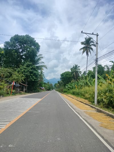 A straight, paved road runs through a lush, tropical landscape, bordered by dense vegetation and palm trees. The sky is overcast with dramatic clouds. On the left side of the road, a small, rustic structure with a corrugated metal roof is visible amidst the trees. The road itself has white and orange lane markings. On the right side of the road, a concrete utility pole supports numerous electrical wires, and a long, thin row of dried yellow material, possibly grass or reeds, is spread out along the roadside, likely for drying in the sun. In the distance, mountains are faintly visible through the haze. The scene suggests a rural or semi-rural area, possibly in the Philippines, given the mention of Kidapawan. There are no people clearly visible in the image.