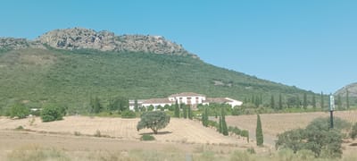 This image depicts a rural landscape in the vicinity of Mérida, Spain, characterized by a large, white building with a reddish-brown tiled roof, likely a villa or hacienda, nestled at the foot of a lush green, tree-covered mountain. In the foreground, a dry, cultivated field with rows of stubble is visible, with a solitary, broad-canopied tree standing in its center. Cypress trees line a pathway leading to the building, and a vineyard with rows of dormant vines extends to the right. The sky is clear and blue. The scene is tranquil and appears to be taken during daylight hours.