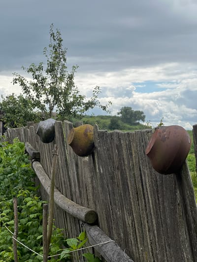 An old, weathered wooden fence stands in a rural setting, likely in the Бучацінскі сельскі Савет, Belarus. Three rustic clay pots are affixed to the fence posts, adding a touch of primitive decoration. The leftmost pot is dark gray, the middle pot is moss-covered and greenish-brown, and the rightmost pot is a rusty reddish-brown. Behind the fence, lush green foliage, possibly raspberry bushes, thrives. In the background, a mature tree with sparse leaves stands tall against a dramatic sky filled with heavy, gray clouds interspersed with patches of bright blue. The overall impression is one of rustic simplicity and the passage of time. There are no people or animals visible in the image.