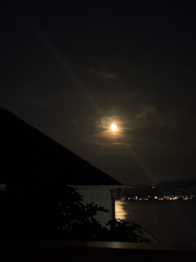 The image presents a nocturnal scene featuring a prominent, brightly glowing moon, partially veiled by clouds or haze, positioned slightly left of the frame's center. The moon's intense light creates a luminous halo and illuminates the surrounding atmospheric conditions.
Silhouetted against the dark night sky, the outlines of architectural structures and foliage are visible on the right side and bottom right of the composition. A distinct dark, triangular shape in the bottom right corner suggests a building's roofline or an adjacent structure. Below this, a cluster of dark, shadowy foliage, likely trees or bushes, adds to the natural elements within the urban or semi-urban setting. On the far right edge, a vertical strip displays several bright, elongated reflections or streaks of light, possibly originating from distant artificial lights or reflections on a surface like a windowpane.
The scene captures a quiet, cloudy night in Bijela, Montenegro, viewed from a vantage point that includes both the sky and parts of the built environment. There is no discernible activity taking place, and no text is visible within the image.