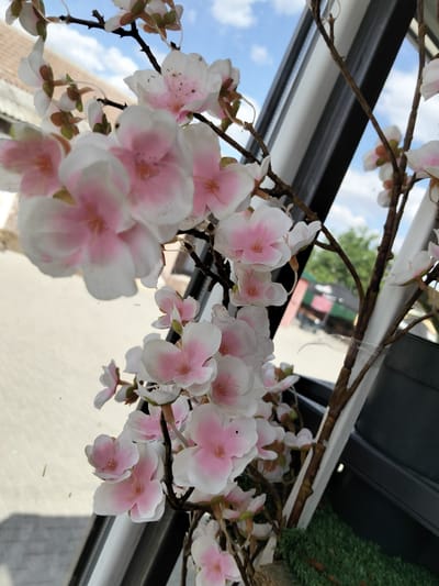 The image shows a close-up of artificial cherry blossoms in the foreground, set against a blurred background of buildings and sky. The blossoms are white with pink centers and are attached to dark brown branches. The background is out of focus, but it appears to be a street scene with buildings, trees, and a cloudy blue sky. There are no people visible in the image. The style of the buildings in the background, particularly the roofline of the structure on the left, suggests a European setting, potentially a town or village. The presence of a dark, rectangular object in the lower right corner hints at a container or planter, possibly indicating the arrangement is part of a decorative display. Given the information that the location is Congaz, Moldova, the scene likely depicts an outdoor setting within the town, such as a shop entrance, a cafe, or a public space where such floral decorations are used.