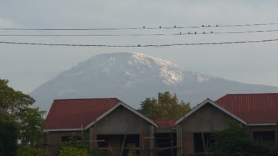 A serene vista reveals a snow-capped mountain against a hazy sky. Three electrical wires span the upper frame, dotted with small birds. Below, the red roofs of two unfinished buildings contrast with the surrounding green foliage. The scene blends natural beauty with elements of construction.