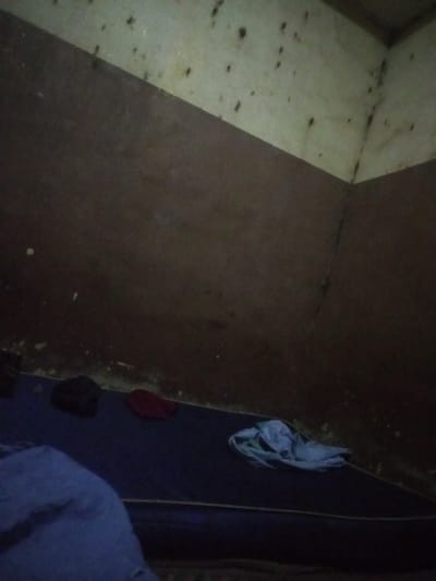The image depicts a dimly lit, spartan room in Rigasa, Nigeria, characterized by basic and unkempt living conditions. The interior features walls divided into two distinct sections: a dark brown lower portion and a lighter, discolored upper section that extends to the ceiling. Both the upper walls and ceiling are extensively covered with numerous small, dark, irregular spots and streaks, strongly suggesting mold, dampness, or insect activity, specifically resembling flies or their droppings, as corroborated by the close-up crops.
A dark blue foam mattress rests directly on the floor. On the left side of the mattress, a large blue piece of fabric, possibly a blanket or folded garment, is visible. Towards the center-left, a dark item (perhaps a hat) and a red cloth or hat are placed. On the right side of the mattress, a crumpled, light-colored shirt or piece of clothing is present. A vertical crack or seam runs down the dark brown wall section on the right side of the room.
The low light levels suggest it is either nighttime, early morning, or the room lacks sufficient natural illumination, with an internal light source providing minimal visibility. No people are present, indicating the room is either unoccupied or the occupant is out of frame. There is no discernible activity taking place, and no text is visible anywhere in the image. The scene conveys a sense of austerity and neglect, hinting at challenging living circumstances.