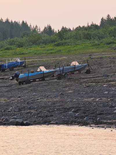 The image depicts a scene in Potapovo, Russia, featuring several small motorboats resting on a rocky, low-tide shoreline. The boats are positioned on trailers, indicating they are out of the water. The water in the foreground reflects the soft, peachy light of what appears to be dawn or dusk, with gentle ripples on its surface. Behind the boats, a slope rises, covered in scrubby green vegetation and interspersed with yellow flowers, leading up to a dense line of coniferous trees that forms the horizon. The sky is a pale, hazy pink.