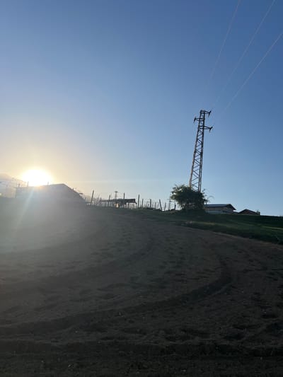 The image depicts a rural landscape in Kornitsa, Bulgaria, captured during either sunrise or sunset. A vast, dark, tilled field occupies the foreground and midground, showcasing visible furrows and textured earth. On the right side of the frame, a tall metal electricity pylon stands prominently, with multiple power lines stretching horizontally across a clear, bright blue sky. A small tree is situated near the base of the pylon. In the distant background, on an elevated ridge, several buildings or houses are visible, partially silhouetted against the bright light.

The sun is positioned low on the left side of the frame, emitting a strong, brilliant light and causing a prominent lens flare. This creates a warm, golden glow near the horizon, contrasting with the cooler blue of the upper sky. The light illuminates the distant structures and highlights the power lines. The sky is clear and cloudless.

No specific human activity or event is taking place; the scene captures a static, serene view of the countryside. The setting is characteristic of a rural or semi-rural area. No visible text is present in the image.