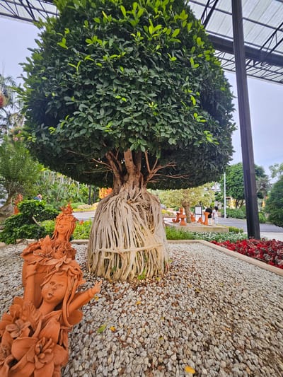 The image captures a scene within a park or garden setting in Na Chom Thian, Thailand, possibly at a botanical garden or a tourist attraction. In the foreground, a large, mature tree with prominent, exposed aerial roots is the central subject. The tree is densely covered with dark green foliage. To the left of the tree, two terracotta statues of women with floral headdresses and ornamentation are positioned. These statues are placed in a bed of light-colored gravel that surrounds the base of the tree. Beyond the immediate foreground, the park features other trees, lush vegetation, pathways, and what appears to be a covered walkway or structure in the background. Several individuals are visible in the mid-ground, walking and interacting within the park, suggesting a public space. The overall environment is verdant and well-maintained, indicating a pleasant outdoor recreational area.