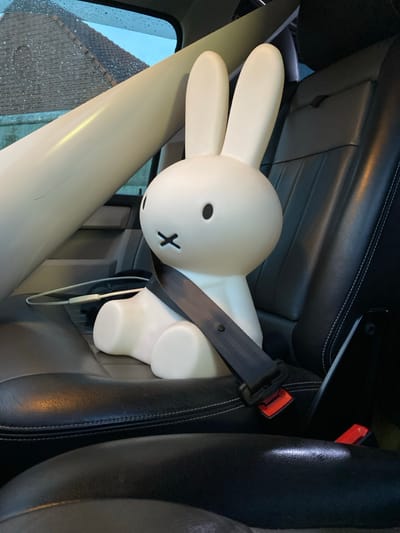 The primary subject of the image is a large, white Miffy-shaped lamp or decorative figure, prominently seated on the passenger seat of a vehicle. The figure has the characteristic Miffy face with two oval eyes and an "X" for a mouth, along with long, upright ears. It is securely fastened with a black car seatbelt across its torso.

The setting is the interior of a car, specifically what appears to be the front passenger seat, featuring black leather upholstery with white stitching. A thin white cable, possibly for charging or headphones, dangles near the figure's base. Through the car window on the left, raindrops are visible, indicating wet or rainy weather. An exterior view reveals part of a building with a tiled roof, suggesting a residential or urban environment in Bergen op Zoom, Netherlands.

The activity depicted is the transportation of the Miffy figure in the car, with the figure deliberately buckled in as if it were a passenger, adding a touch of playful safety. The time of day appears to be daytime, though overcast due to the rain. No people are visible in the frame. The only visible text-like element is the "X" shape that forms Miffy's mouth.