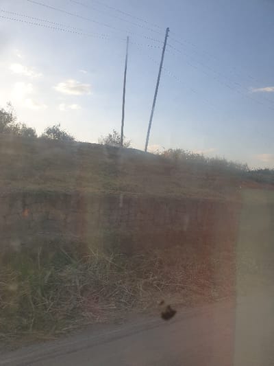 An angled outdoor shot reveals a rural scene. Two wooden power poles stand against a pale blue sky with thin, parallel power lines. A grassy embankment, partially obscured, extends across the middle ground, blending into a road or path. The view is somewhat obscured, possibly taken from within a vehicle.