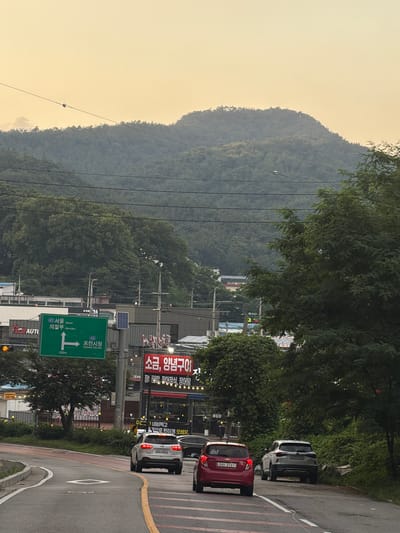 The image shows a street scene in Pocheon-si, South Korea, with a road curving to the left. Several cars are visible on the road. In the foreground, a white Kia Seltos is turning left, its brake lights illuminated. To its right, a white Kia Sportage is parked on the side of the road. Further down the road, a red Chevrolet Spark is moving away from the camera. A green directional sign indicates "Seoul, Uijeongbu" to the left and "Pocheon City Hall" to the right, with a distance of 200m to the latter. The background is dominated by a lush, forested mountain range under a hazy, pale yellow sky, suggesting it is either dawn or dusk. Buildings and trees line the sides of the road, and power lines are visible crisscrossing the sky. A red sign with Korean text and lights is also visible on the right side of the road.