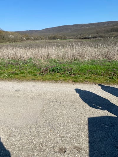 The image depicts a rural scene in Batovo, Bulgaria, featuring a paved road in the foreground with two distinct shadows indicating people standing nearby. The road is bordered by a grassy verge dotted with small purple and yellow flowers, transitioning into a field of dry, straw-like vegetation. Beyond the field, a wooded hillside rises against a clear, blue sky. The angle of the shadows suggests the time of day is either morning or late afternoon.