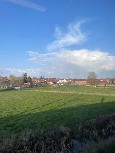 The scene depicts a panoramic view of the rural periphery of Wilwisheim, France, under a largely clear blue sky with scattered white cumulus and cirrus clouds. A faint, linear light reflection is visible in the upper left quadrant of the sky. The immediate foreground exhibits a band of dry, light-colored vegetation, likely reeds or dormant grasses. This transitions into a broad, uniformly green grass field that occupies the mid-ground, marked by extended, indistinct shadows consistent with low sun illumination. The background is dominated by the village of Wilwisheim, presented as a dense cluster of structures. These buildings feature predominantly reddish-brown tile roofs and walls of various colors, including white, beige, and light blue. Numerous deciduous trees, some still bare and others showing nascent foliage, are interspersed among the village structures. On the far left edge of the village boundary, a barn-like structure is visible adjacent to several green cylindrical containers. A single, large, bare tree stands at the right edge of the village. Multiple small, dark avian figures are observed airborne above the village skyline. No human subjects or discernible activities are present.