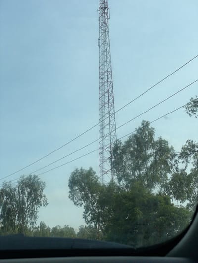 This is a low-angle, full shot of a cell tower and surrounding trees, taken from inside a vehicle. The cell tower, a tall, red and white lattice structure, is in the center-left of the frame, reaching towards the hazy sky. Several power lines stretch across the sky, passing in front of the tower. Lush green trees with thin, feathery leaves fill the middle and right side of the image, obscuring parts of the tower and power lines. The lower portion of the image shows the dark interior of a vehicle's dashboard and windshield. The scene is set in Kassa Market, Nigeria, suggesting an outdoor, possibly dusty environment. There are no people or animals visible in the image. The overall lighting is diffused, indicating an overcast or hazy day.