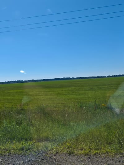 The image shows a wide, green grassy field under a clear blue sky with a few wispy clouds. Three dark power lines stretch horizontally across the upper portion of the sky. A faint rainbow or optical phenomenon is visible in the upper left quadrant of the sky. The field is lush and appears to be agricultural land. In the distance, a line of trees forms the horizon. The foreground shows a gravelly path bordering the field, with taller grasses and some wildflowers. The overall scene depicts a rural landscape under a sunny day. Based on the provided information, this location is within Салонскі сельскі Савет, Belarus. There are no people or animals visible in the image.