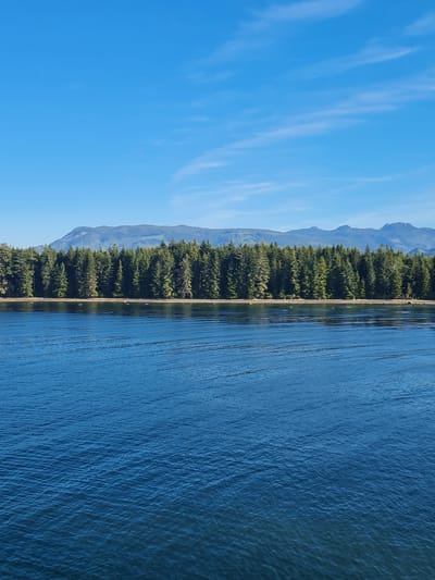 The image shows a body of calm blue water in the foreground. Beyond the water, there is a densely packed line of evergreen trees that form a natural barrier. Behind the trees, a range of low, misty mountains can be seen under a clear blue sky with wispy white clouds. The scene depicts a natural, serene landscape. This image was taken in the city of Westervoort, Netherlands.