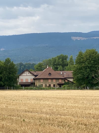 An exterior, eye-level, full shot captures a farm house complex with a foreground of a harvested wheat field. The farm house is located in Boudry, Switzerland. The building is made of stone and stucco with a dark-tiled, pitched roof. Several windows are visible, many adorned with striped shutters in red, white, and black. Behind the farm house, a dense forest climbs a sloping mountain range under a cloudy sky. The field in the foreground is a pale gold color, with stubble from a recent harvest. A wire fence separates the field from the farm house. No people are visible in the image.