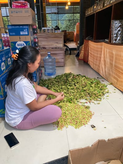 In the city of Sawan, Indonesia, a woman sits cross-legged on a tiled floor, sorting a large pile of dried cloves. She wears a white t-shirt and pink leggings, with an orange hair clip holding back her dark hair. The cloves, a mix of green and reddish-brown, are spread across the floor around her. To her left, several stacked boxes, some with the "AQUA" logo, and a large water cooler bottle are visible. In the background, a shelf displays various products, and through a large window, a lush green landscape with trees and mountains can be seen. A smartphone lies on the floor to her right. A cardboard box is also present in the foreground.
