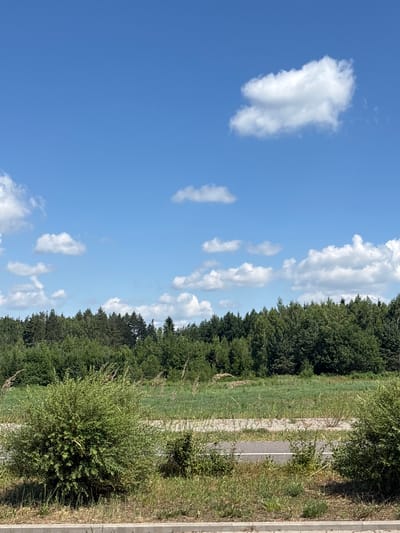 The image depicts a rural landscape under a clear blue sky with scattered white cumulus clouds. In the foreground, there are two green bushes on either side of a paved surface that appears to be a road or pathway, with a concrete curb visible at the bottom of the frame. Beyond the pathway lies a grassy field that stretches towards a dense line of green trees forming a forest edge. The forest appears to be a mix of deciduous and coniferous trees. The overall environment suggests a natural, open area, likely in a rural setting outside of a major urban center. The scene is devoid of any people or explicit human activity, focusing solely on the natural environment. Given the context of Драчкаўскі сельскі Савет, Belarus, this scene is consistent with the natural scenery found in the Belarusian countryside.