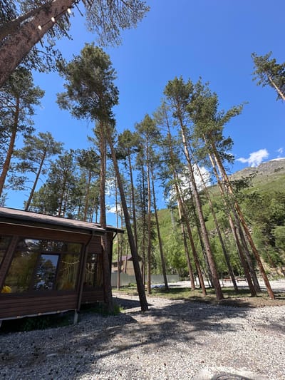 The image captures a scene near a wooden building with large windows, nestled among tall pine trees. The ground is covered with gravel and scattered pine cones. In the background, a sloping mountain covered in greenery and patches of snow rises under a clear blue sky with a few scattered clouds. The overall setting suggests a natural, possibly recreational area. The building appears to be a lodge or a guesthouse, and the presence of string lights visible through the windows hints at an inviting atmosphere. The architectural style of the building and the surrounding vegetation are consistent with mountainous regions.