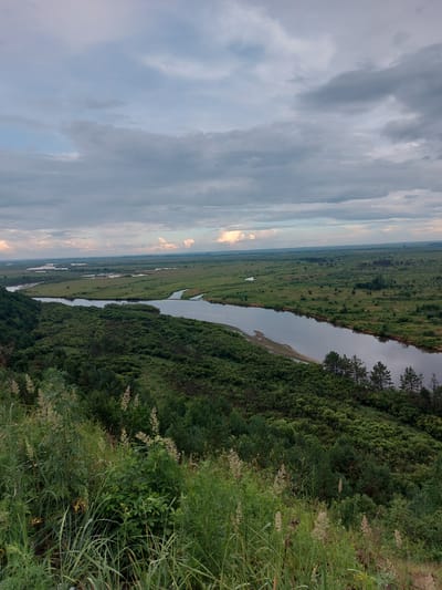 The image depicts a panoramic view of a vast, verdant landscape in the vicinity of Parunovka, Russia. A wide, meandering river dominates the scene, its dark waters reflecting the cloudy sky. The river is flanked by lush green vegetation, with dense forests covering the slopes of hills in the foreground and the middle ground. Beyond the river, the terrain stretches out into expansive plains covered in fields and scattered patches of trees, extending towards a distant horizon under a sky filled with dramatic, gray clouds. The overall impression is one of natural beauty and a sense of remote wilderness. There are no people or man-made structures visible in the image, emphasizing the untamed nature of the environment.