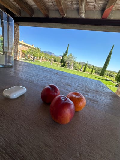 The scene depicts a wooden table on a veranda in Santa Maria del Camí, Spain. On the table are an orange, two nectarines, and a white electronic device. The foreground shows a partial view of a glass containing an indiscernible substance. Beyond the veranda, a manicured green lawn slopes up to a line of cypress trees, with a building visible on the left. Mountains are visible in the background under a clear blue sky. The veranda structure is visible on the left side of the image, made of wood.