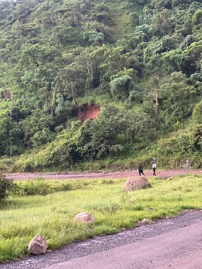 In Wuro Gole, Nigeria, a landscape view captures a steep, tree-covered hillside adjacent to a dirt road. Two individuals are visible walking on the road, one in dark clothing and the other in lighter attire with a backpack. A large boulder is situated in the grassy area between the road and the hillside. The ground on the hillside shows signs of erosion, with exposed reddish-brown soil. The environment is lush and green, indicating a natural, possibly rural setting.