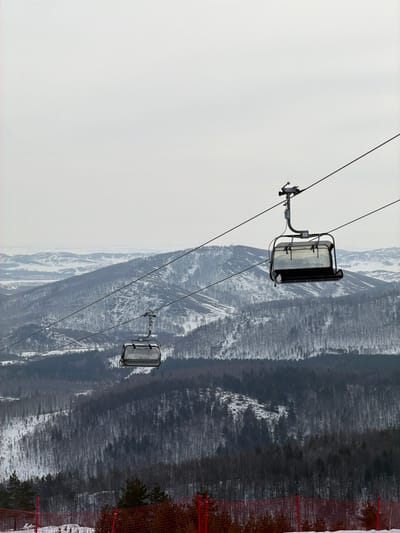The image displays a winter mountainous landscape at the Novoabzakovo ski resort in Russia, observed on an overcast day. Two unoccupied chairlift carriages are suspended on parallel steel cables that traverse the scene diagonally from the upper right to the lower left. The closest chair, positioned in the upper right quadrant, is a two-person model with a black frame and translucent wind guards, labeled with the number "103". A second, more distant and smaller, empty chair is visible towards the middle left. The terrain consists of multiple layers of snow-covered hills and mountains, densely forested with both coniferous and deciduous trees, many appearing bare. Some slopes exhibit distinct patterns consistent with cleared or deforested areas. In the immediate foreground, at the bottom edge, a section of red safety netting is visible on a snow-covered surface, alongside several snow-dusted evergreen trees. The sky is uniformly light grey, indicating heavy cloud cover. No individuals or active subjects are present in the frame.