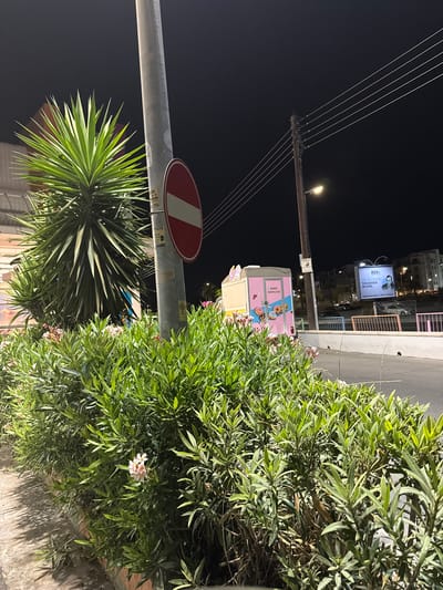 This media file, taken in Agios Athanasios Municipality, Cyprus, depicts a nighttime street scene dominated by lush greenery on the right side of the frame. In the foreground, a large bush with dense, green foliage and delicate pink flowers spills into the scene, casting shadows on a concrete surface. To the left, a spiky, green yucca-like plant stands out against the dark background.
A tall, silver pole supporting a traffic sign – a red circle with a white horizontal bar, indicating "No Entry" – is prominently positioned. Above this, a power pole with multiple wires stretches across the dark sky, with a single lamp illuminated, casting a soft glow.
Further in the background, a pink food truck advertising "MINI DONUTS" with colorful images of donuts is visible. Adjacent to it, a billboard displays a man's face and the text "MSVé ONE BILLBOARD THOUSANDS OF EYES." The surrounding area shows building lights and a street, suggesting an urban or commercial setting. The overall impression is a vibrant night scene, possibly a commercial area or promenade, illuminated by streetlights and the glow from buildings and signs, with a strong natural presence from the surrounding vegetation. The time of day is clearly night.