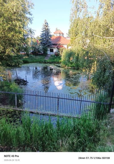 This image shows a pond in Gołków, Poland, on June 24, 2026, at 18:49. The pond is covered in green algae and surrounded by trees and vegetation. A black metal fence separates the pond from the foreground. In the background, a house with a red tiled roof and a distinctive turret is visible, along with more trees and a clear blue sky. The camera settings indicate a focal length of 24mm, an aperture of f/1.75, an exposure time of 1/106 seconds, and an ISO of 100.