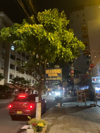 This image depicts a nighttime urban street scene in Ngũ Hành Sơn Ward, Da Nang, Vietnam, specifically near 7A Trần Bạch Đằng street. The foreground on the left shows a portion of a dark asphalt road with a red hatchback car, license plate 43A-067.50, moving or parked with its taillights illuminated. A tree with vibrant green foliage, illuminated by an unseen light source, stands prominently in the center-left. Small white spherical ornaments are strung through the tree's branches. Attached to the tree is a yellow-lit sign displaying "SEAWIND HOTEL" and "7A TRAN BACH DANG".
To the left of the road, a multi-story building with white facades and several illuminated windows is visible in the background. Overhead utility wires traverse the dark sky above the tree.
On the right side of the image, a paved sidewalk features a decorative planter containing yellow and red flowers. Further along the sidewalk, a street vendor or shop display includes multiple colorful lanterns (predominantly red and orange) hanging from a string, along with several vertical signs, one partially legible displaying "BẠC ĐÀ BÀ". The background on the right reveals other indistinct buildings and the headlights of distant vehicles on the road, indicating ongoing traffic. The overall scene is brightly lit by various artificial light sources, creating strong contrasts with the dark night sky.