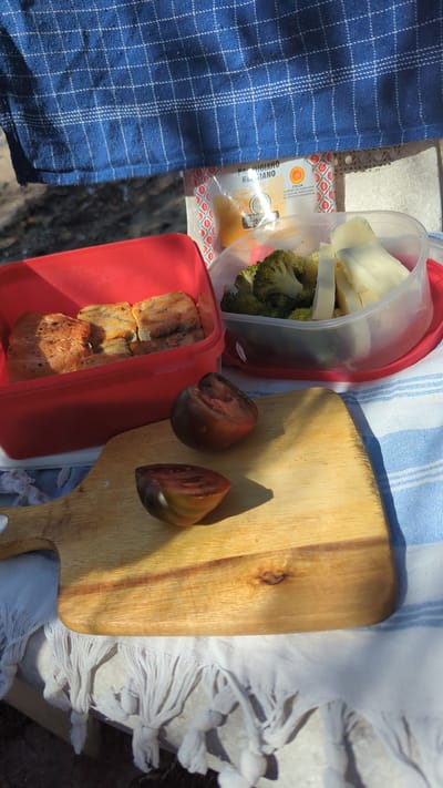 This image depicts a picnic setup on what appears to be a beach or waterfront area, with a blue and white striped cloth as a backdrop. In the foreground, a wooden cutting board holds two halves of a dark-colored tomato. To the left, a red plastic container holds several pieces of cooked fish. To the right, a clear plastic container contains broccoli florets and slices of white cheese. In the background, a package labeled "PARMIGIANO REGGIANO" is visible, along with a blue and white checkered towel draped from above. The lighting suggests it is daytime, with shadows indicating sunlight. The image does not provide any specific clues about the location being Larkollen, Norway.