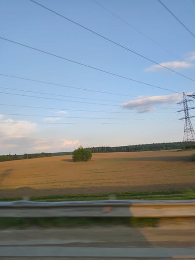 The image depicts a rural landscape with a field of brown grass or crops under a partly cloudy, light blue sky. A small copse of trees is centered in the field, while a line of trees is visible on the horizon. An electrical transmission tower stands on the right side of the frame, with power lines stretching across the sky. A blurry roadside barrier or guardrail is present in the foreground, suggesting the photo was taken from a moving vehicle. The location is Bol'shaya Mos', Russia.