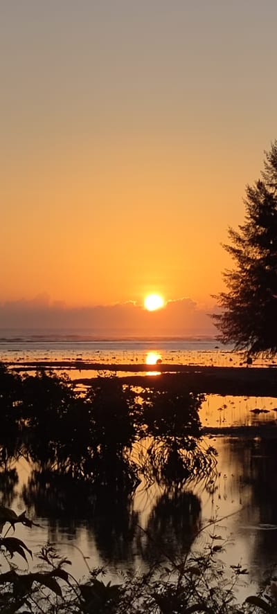 A vertical, full-shot photograph captures a sunset over the ocean at Kruengno, Indonesia. The sun, a bright orange orb, is partially obscured by a thin layer of clouds near the horizon. Its reflection shimmers on the calm water, which is dotted with dark silhouettes of mangroves and other vegetation. In the foreground, dark branches and leaves frame the scene. The sky transitions from a soft orange near the horizon to a muted gray at the top of the frame.
