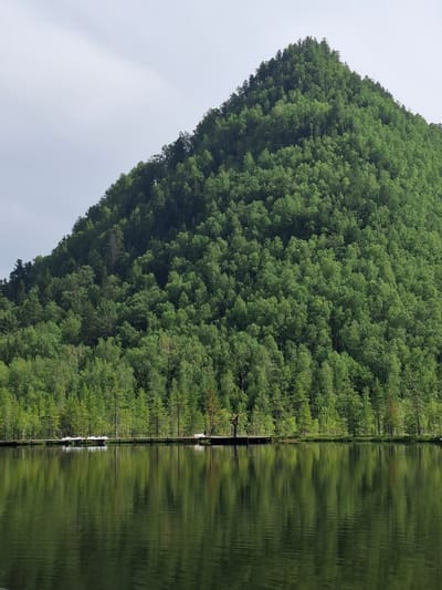 A still, dark body of water reflects a densely forested, conical mountain and a pale, overcast sky in Vydrino, Russia. A narrow, wooden boardwalk stretches across the middle ground, parallel to the water's edge. Several small, white objects, possibly boats or buoys, are visible on the boardwalk. The mountain is covered in a thick growth of various green trees, with the lighter green foliage of deciduous trees intermingled with the darker green of conifers. The water's surface is calm, creating a clear, albeit dark, reflection of the mountain and the trees. The overall scene depicts a serene, natural landscape.