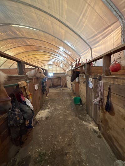 This is an interior shot of a horse stable located in Pavlovsk, Russia. The stable has a translucent arched roof supported by metal beams, allowing natural light to filter through. Wooden stalls line both sides of the walkway, with two horses visible, one light-colored and one dark-colored, peeking over their stall partitions. Various horse tack, including halters and bridles, are hanging on the stall walls. A red ball hangs from a rope in one of the stalls, and a green bucket is on the ground in the walkway. Bags and other equipment are piled near one of the stalls. The ground is covered in dirt and wood shavings.