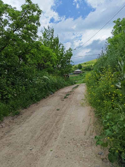 The image depicts a dirt road winding through a lush, green rural landscape under a partly cloudy sky. On the left side of the road, dense trees and foliage create a thick border, while the right side is lined with tall grass and small yellow wildflowers. In the distance, a house with a solar panel on its roof is visible on a gently sloping green hill. Overhead, power lines stretch across the sky, supported by poles. The road itself appears to be unpaved, with visible tire tracks and scattered stones. The overall impression is of a peaceful, natural setting in a village or countryside.