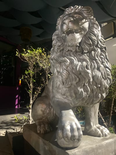 A silver-colored lion statue stands on a plinth. The statue is highly detailed, showing the lion's mane and facial features clearly. The statue is positioned outside; there is a small tree with green leaves behind the lion, and parts of a building can be seen in the background. A portion of a chair and decorative blue objects are visible. A purple wall is also apparent behind the tree. The location is Baan Don Sai, Thailand, as evidenced by the metadata. The scene appears to be at night or in a very dimly lit environment.